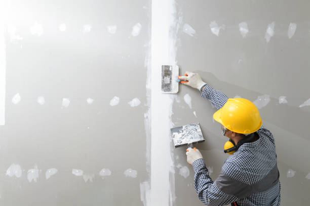 Best Custom Drywall Designs  in Brusly, LA